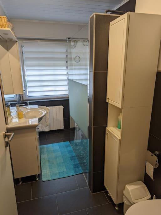 Ferienwohnung Philippi - Moselblick Mit Grosser Dachterrasse, 75 Qm, Hunde Willkommen Меринг Экстерьер фото
