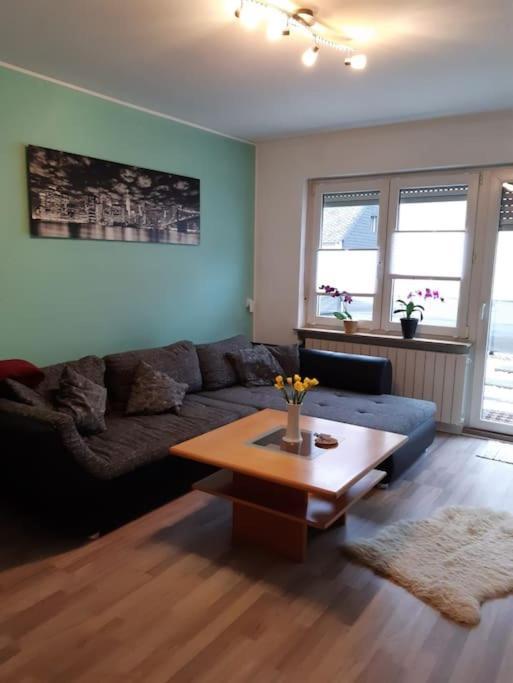 Ferienwohnung Philippi - Moselblick Mit Grosser Dachterrasse, 75 Qm, Hunde Willkommen Меринг Экстерьер фото