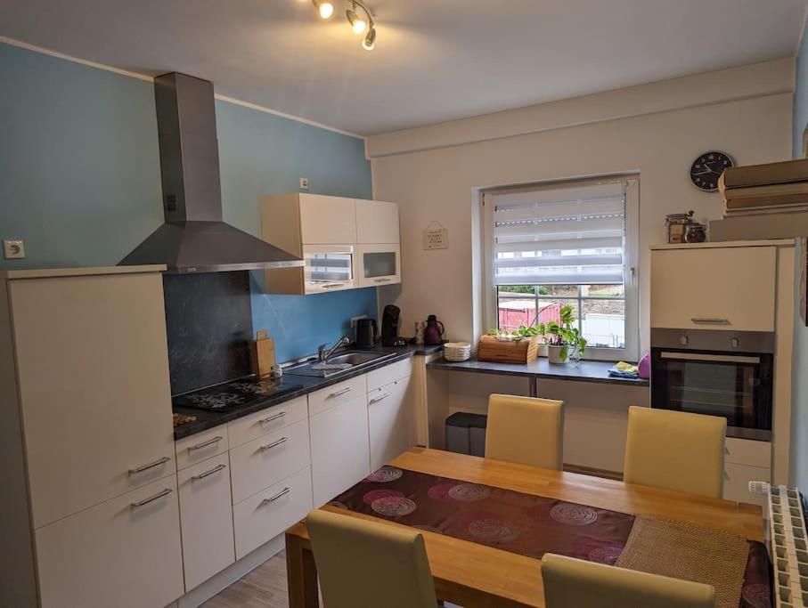 Ferienwohnung Philippi - Moselblick Mit Grosser Dachterrasse, 75 Qm, Hunde Willkommen Меринг Экстерьер фото
